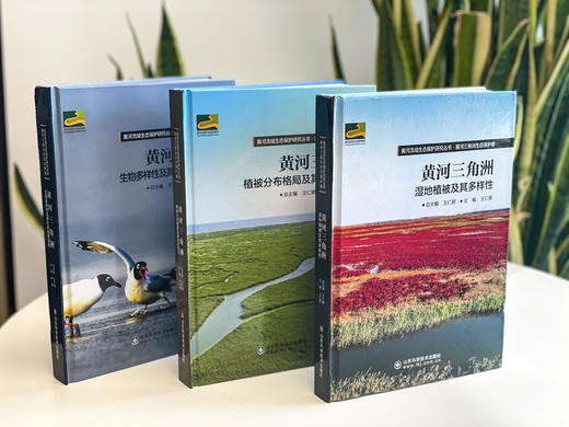 黄河流域生态保护研究丛书·黄河三角洲生态保护卷 商品图1