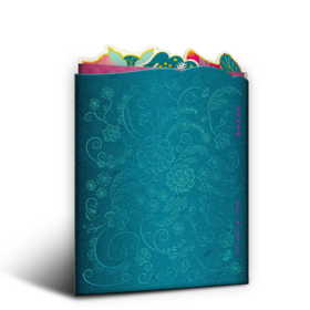 疯狂的老绣  张书林著   青岛出版社