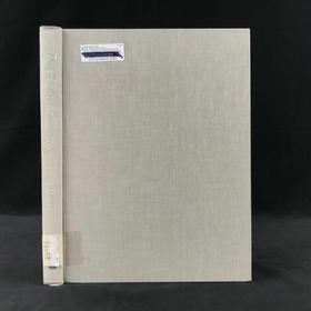 审美体验：人类学家眼中的视觉艺术 约百幅插图 精装16开