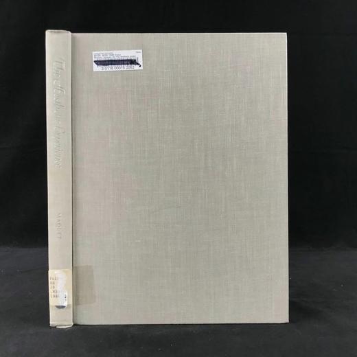 审美体验：人类学家眼中的视觉艺术 约百幅插图 精装16开 商品图0