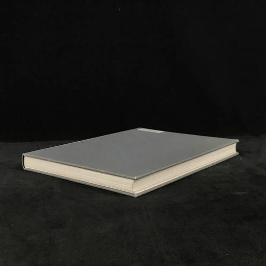 二十世纪流行文化史 数百幅插图 精装16开 商品图1