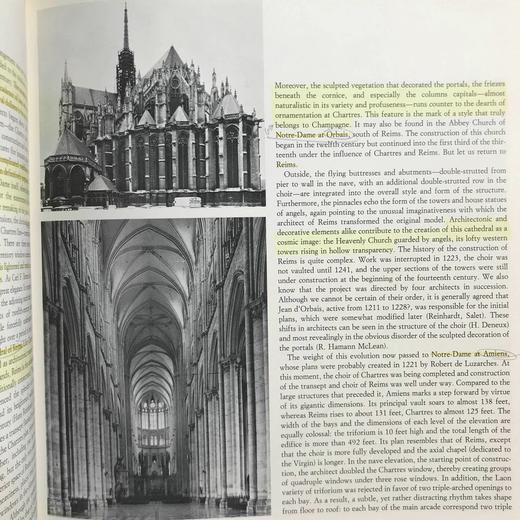哥特式建筑图集 299幅插图 平装18开 商品图14