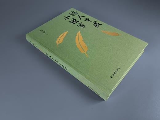 (仓发) 鲁敏随笔集：路人甲或小说家/译林出版社/鲁敏/9787544778152 商品图5