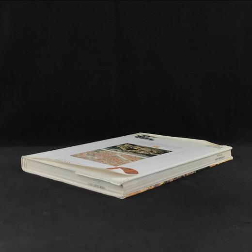 古罗马文明史（馆藏） 数百幅彩色插图 精装16开 商品图2