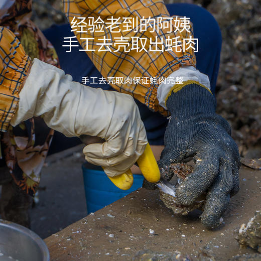 港岛姑娘 海蛎肉当天现剥去壳小牡蛎蚵生蚝肉肥美多汁鲜甜嫩滑220g/盒活冻 商品图2