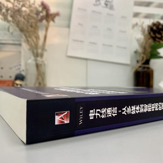 (仓发) 电力线通信: 从多媒体到智能电网的原理、标准和应用（原书第2版）/机械工业出版社/[加拿大]卢茨·兰普（Lutz.Lampe）/9787111656838 商品图4