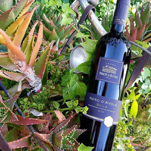 卓林布黛菈黑珍珠干红葡萄酒（2015） 商品图1