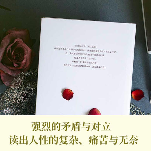 夜莺与玫瑰 王尔德童话全集 6-9岁 奥斯卡·王尔德 著 外国文学 商品图3