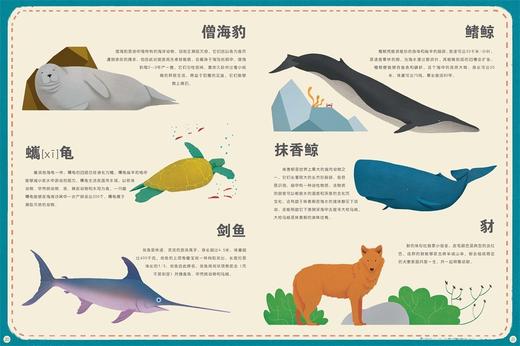 (仓发) 手绘地图：动物世界/中国大百科全书出版社/意大利白星出版社/9787520208185 商品图3