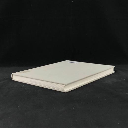 审美体验：人类学家眼中的视觉艺术 约百幅插图 精装16开 商品图1