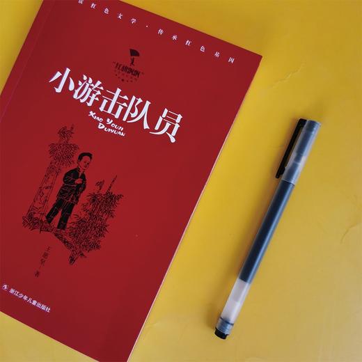 (仓发) 小游击队员/红旗飘飘少年成长系列/浙江少年儿童出版社/王愿坚/9787559726049 商品图3