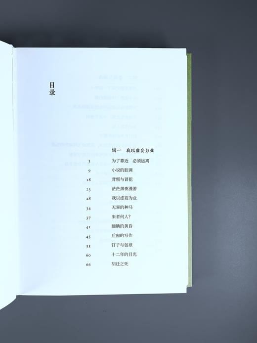 (仓发) 鲁敏随笔集：路人甲或小说家/译林出版社/鲁敏/9787544778152 商品图6