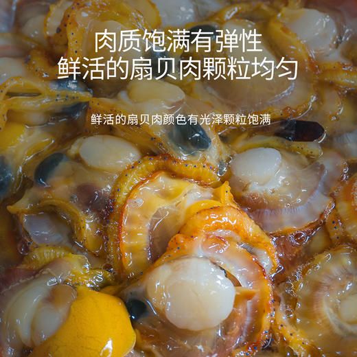 港岛姑娘 半壳扇贝 当天现剥去壳扇贝肉肥美多汁鲜甜嫩滑活冻 商品图0