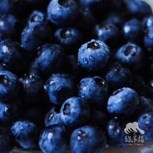 生态蓝莓（偏酸）（湖北）| 合作生产*  Ecological Blueberry| Coproducted 商品图2