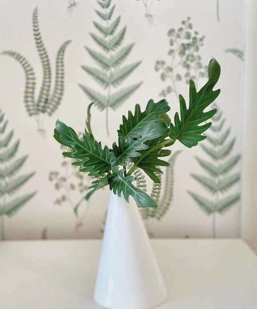 小天使  扎 商品图0