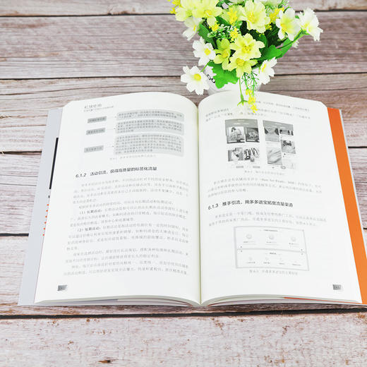 (仓发) 私域电商：私域流量下的新社交电商运营/清华大学出版社/陆高立/9787302552055 商品图6