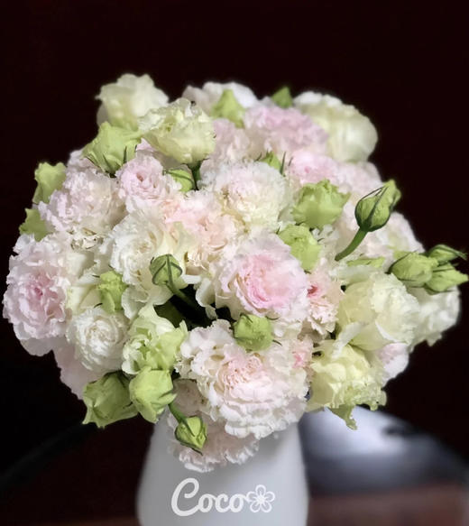 【洋桔梗】--冰淇淋 若干枝/扎 商品图0