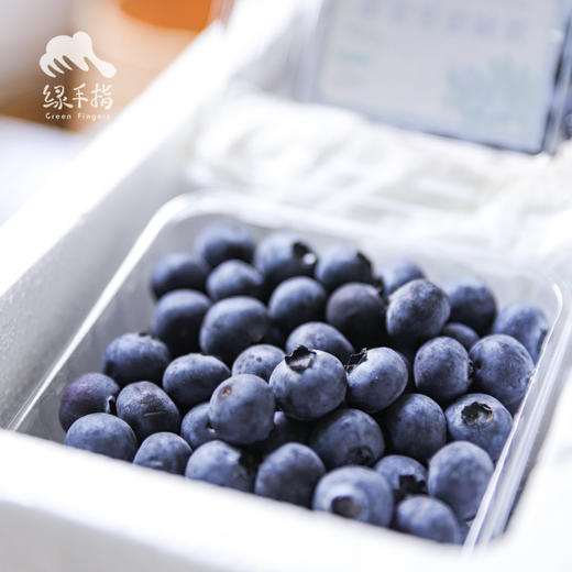 生态蓝莓（偏酸）（湖北）| 合作生产*  Ecological Blueberry| Coproducted 商品图5