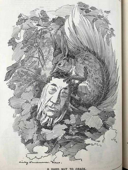 1899年7-12月 英国讽刺漫画杂志《笨拙》 数百幅插图 漆布精装16开 商品图12