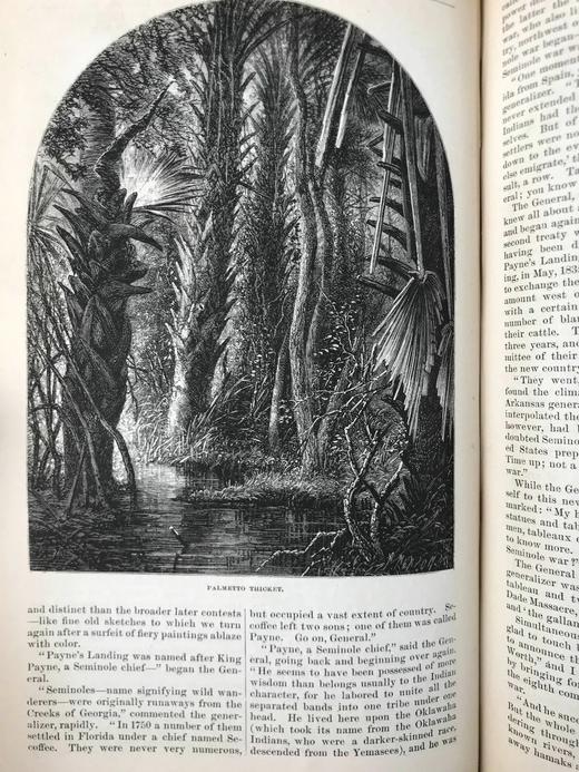 1875年12月-1876年5月 哈泼斯杂志 数百幅版画插图 精装18开 商品图8