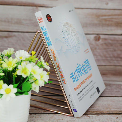 (仓发) 私域电商：私域流量下的新社交电商运营/清华大学出版社/陆高立/9787302552055 商品图9