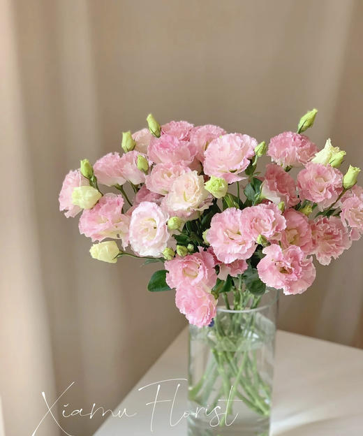 【洋桔梗】--阳光粉，  若干枝/扎 商品图1