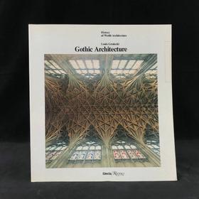 哥特式建筑图集 299幅插图 平装18开