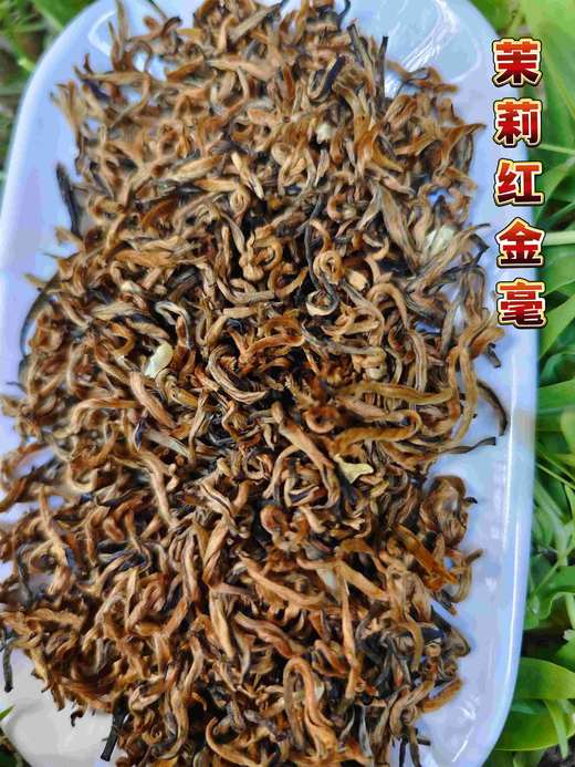 茉莉红·大金针(散装茶) 商品图2