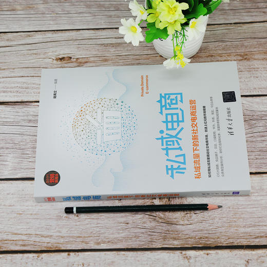(仓发) 私域电商：私域流量下的新社交电商运营/清华大学出版社/陆高立/9787302552055 商品图2