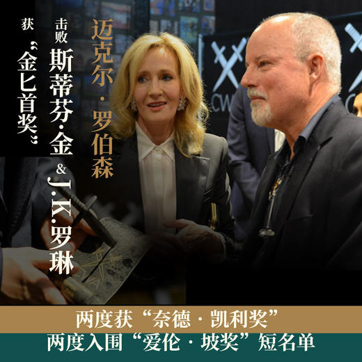 (仓发) 嫌疑人/湖南文艺出版社/[澳]迈克尔·罗伯森/9787540497545 商品图2