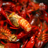 有机小龙虾 （鲜活）| 合作生产*Organic l crayfish| Coproducted 商品缩略图6