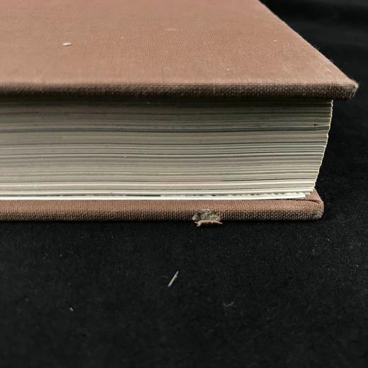 罗马与她的帝国 数百幅插图 精装大16开 商品图2