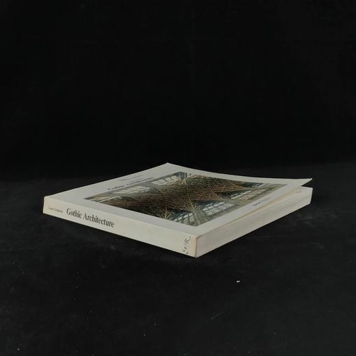 哥特式建筑图集 299幅插图 平装18开 商品图1