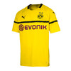 SFS彪马正品1819多特蒙德欧冠主场球衣短袖球迷版足球服753322-11 商品缩略图3
