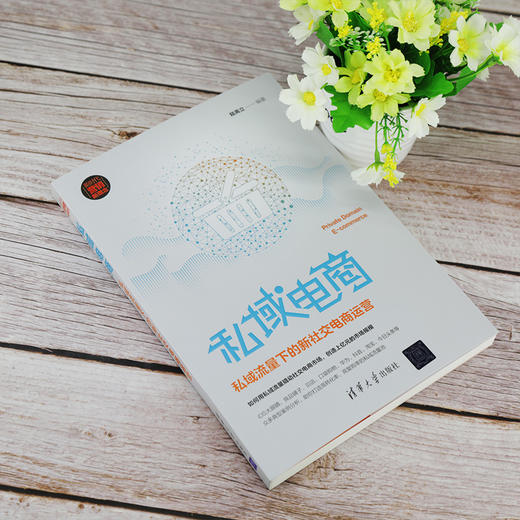(仓发) 私域电商：私域流量下的新社交电商运营/清华大学出版社/陆高立/9787302552055 商品图3