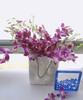 【经典流传色彩】泰国洋兰 紫色 12枝/扎 多规格可选 商品缩略图2