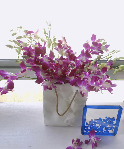 【经典流传色彩】泰国洋兰 紫色 12枝/扎 多规格可选 商品图2