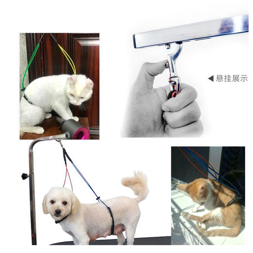 美容桌钢丝吊绳 CKU GROOMER CLUB 学校推荐款 钢丝单绑/双绑吊绳 商品图4