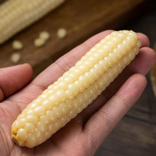 现货西双版纳拇指玉米500克 商品图3