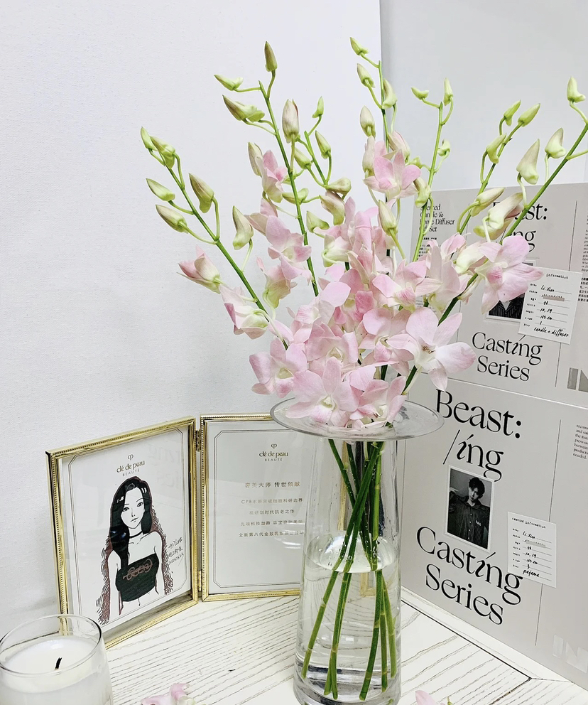 【小仙女】泰国洋兰--粉兰  12支/扎