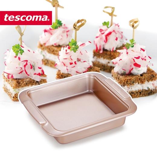 捷克进口/tescoma DELICIA系列 进口不粘烤盘 蛋糕烘焙烤盘 商品图4