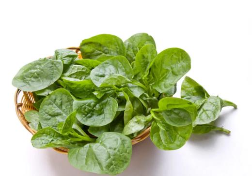 有机木耳菜 Malabar Spinach 商品图0