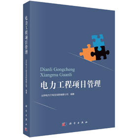 电力工程项目管理/山东电力工程咨询院有限公司