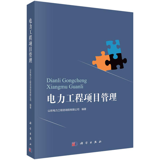电力工程项目管理/山东电力工程咨询院有限公司 商品图0