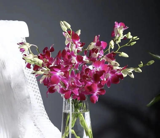 【经典流传色彩】泰国洋兰 紫色 12枝/扎 多规格可选 商品图5