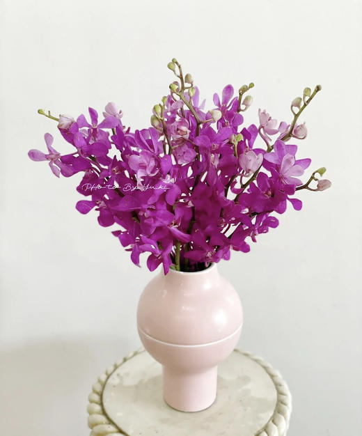 千代紫CL；10支/扎 商品图0