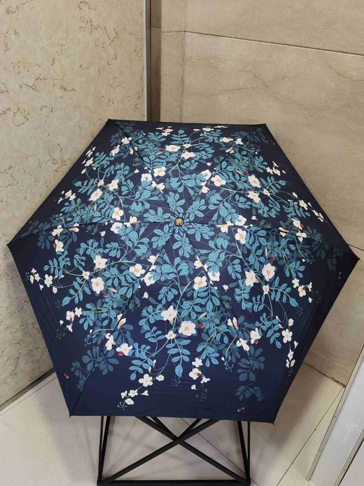 2楼ALA晴雨兼用伞 商品图0