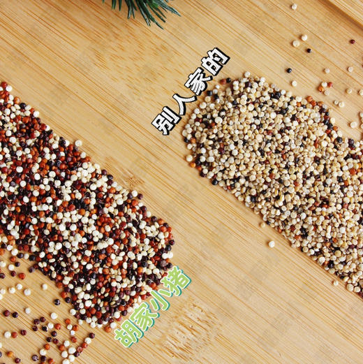 【胡家小猪】原材料三色藜麦米500克/袋 商品图2