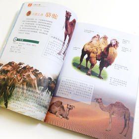 (仓发) 走进动物园（小学生爱读本）/江苏凤凰科学技术出版社/学习型中国·读书工程教研中心/9787553754291