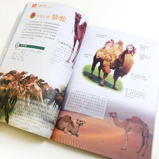 (仓发) 走进动物园（小学生爱读本）/江苏凤凰科学技术出版社/学习型中国·读书工程教研中心/9787553754291 商品图0